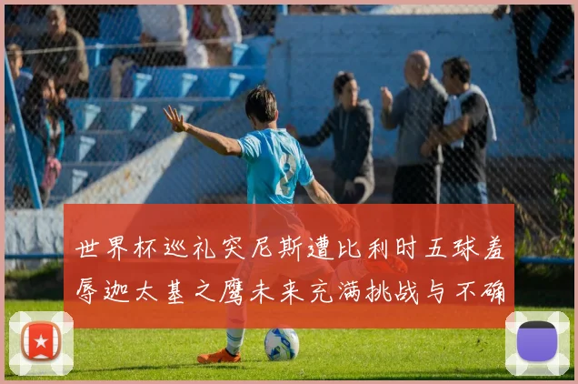 世界杯巡礼突尼斯遭比利时五球羞辱迦太基之鹰未来充满挑战与不确定性